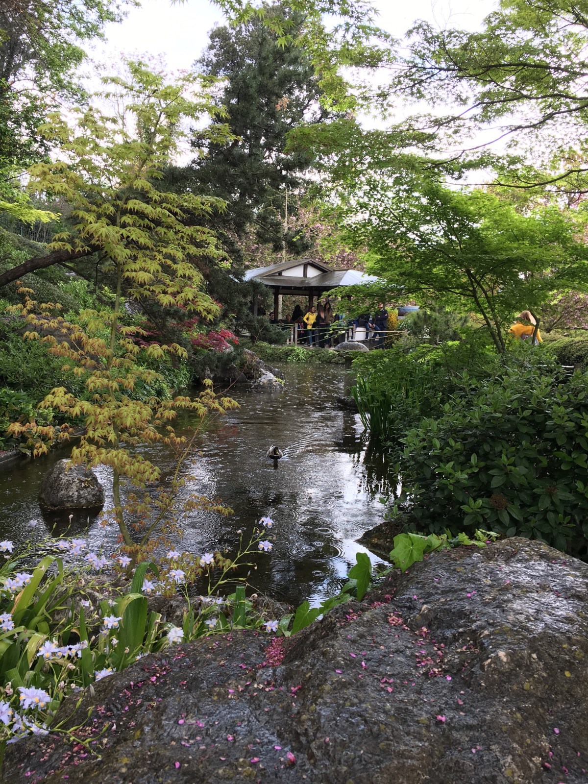 Marco Polo nuovo centro di ricerca internazionale di Cà&nbsp;Foscari