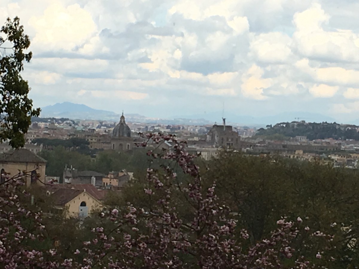 Il cuore verde di Roma, Orto Botanico di Villa&nbsp;Corsini