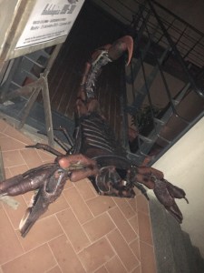 Scorpione di Roberto Molinelli