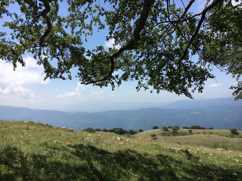 Panorama in località Campaegli
