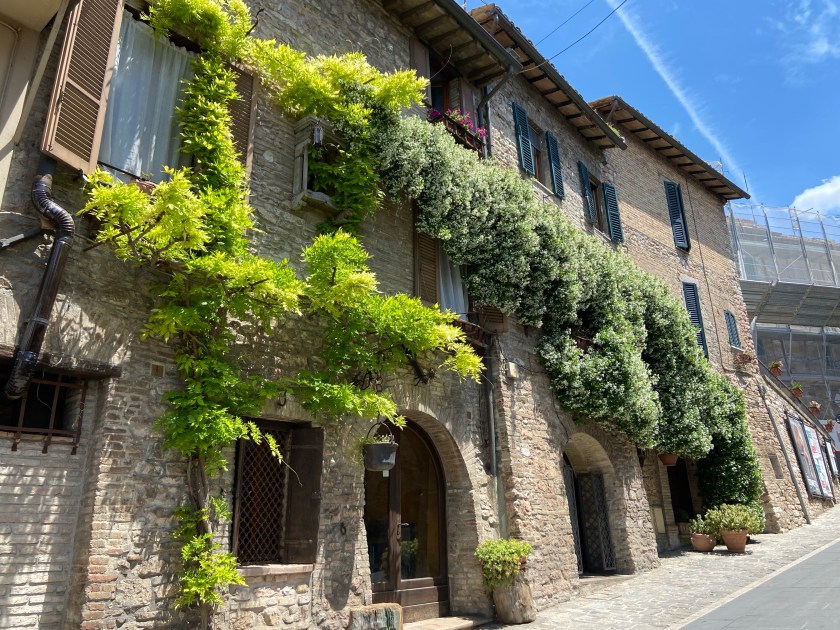 Costruzione medievale abbellita da piante rampicanti assisi