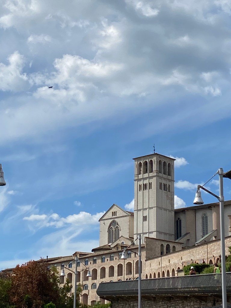 Basilica San Francesco d'Assisi particolare